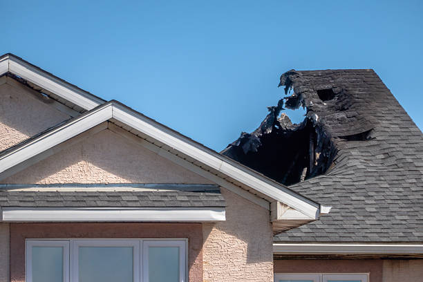 Top rated local Soot Cleanup specialists in Silver Spring, MD